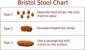 Bristol stool chart 1