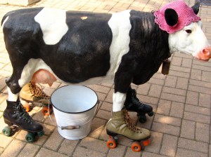 Bovine roller-skating accidents? More common than you'd think. Photo: John Piercy