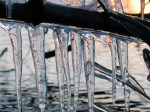 winter icicle
